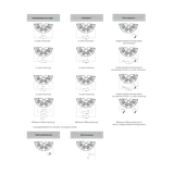 7NG3135