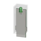 LZS:PTMG0024